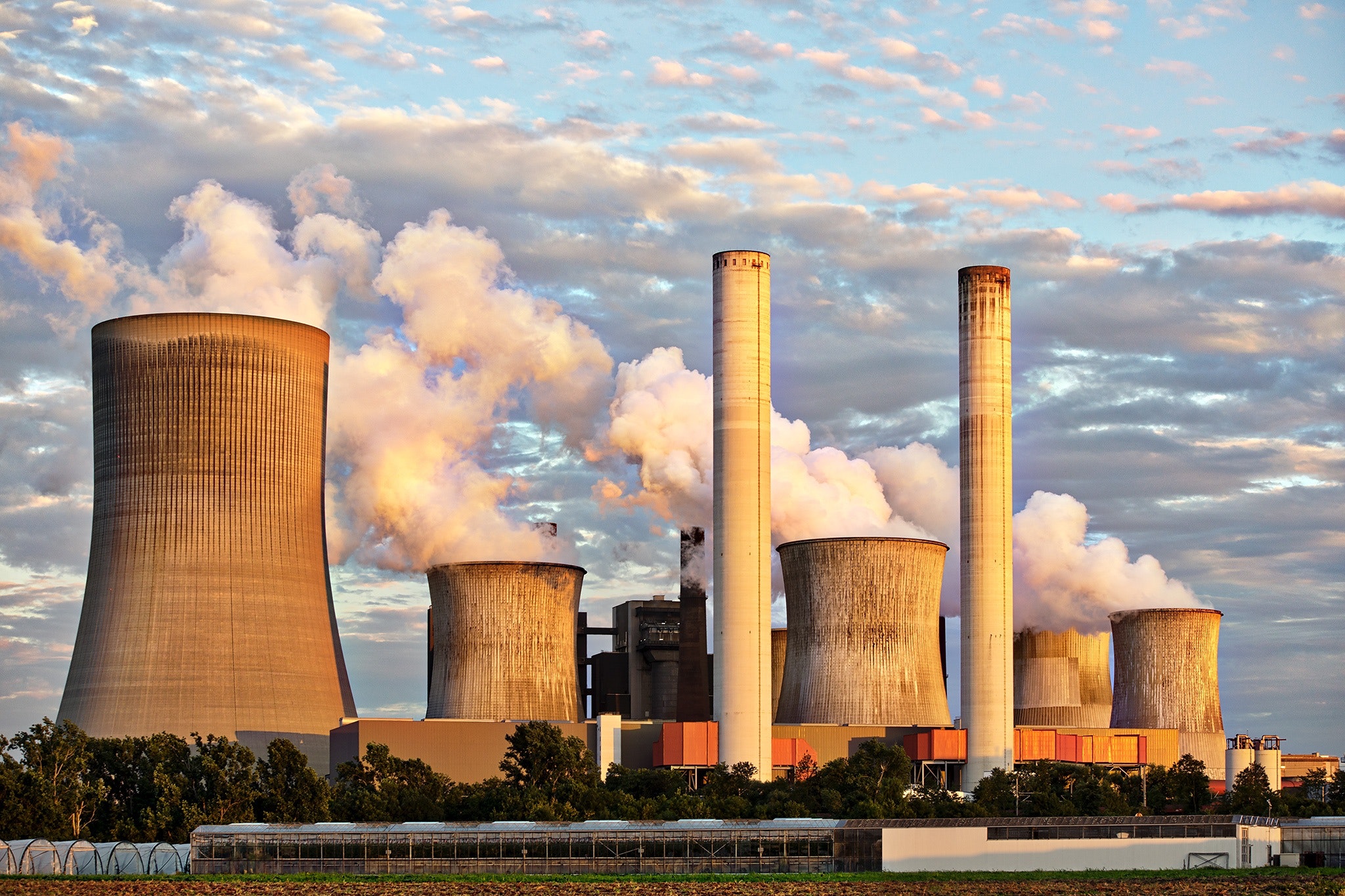 Carbon Neutral Supply Chains